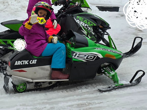 Arctic Cat Z 120