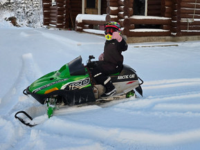 Arctic Cat Z 120