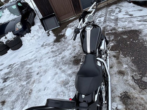 Harley-Davidson Sportster