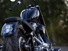 Harley-Davidson Softail