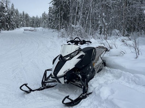 Arctic Cat XF