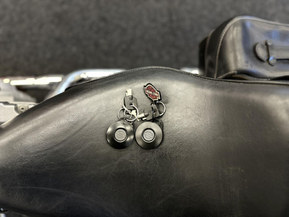 Harley-Davidson Softail