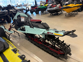 Ski-Doo Freeride