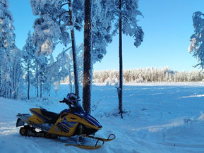 Ski-Doo MX Z