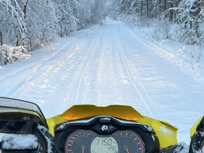 Ski-Doo MX Z