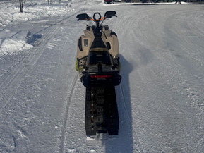 Ski-Doo Freeride