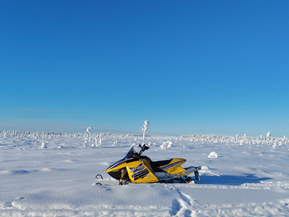 Ski-Doo MX Z