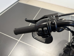 Harley-Davidson Sportster