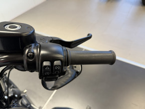 Harley-Davidson Sportster