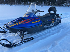 Arctic Cat Bearcat