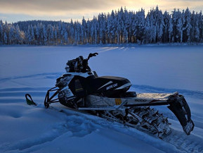 Arctic Cat XF