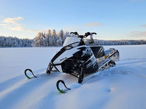 Arctic Cat XF