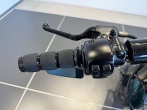 Harley-Davidson Softail