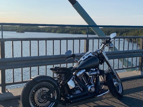 Harley-Davidson Softail