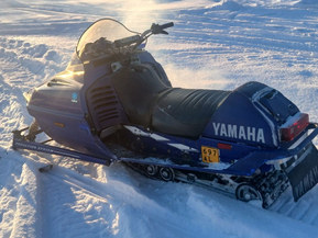 Yamaha SX
