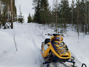 Ski-Doo MX Z
