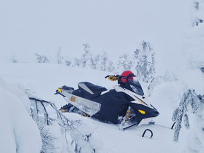 Ski-Doo MX Z