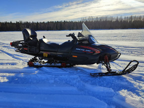 Arctic Cat T-series
