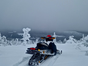 Ski-Doo MX Z