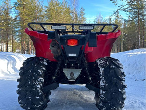Yamaha Grizzly
