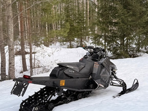 Polaris SwitchBack