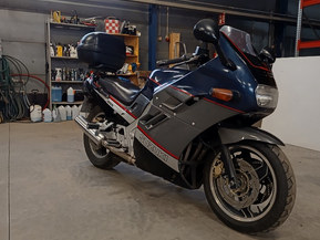 Suzuki GSX
