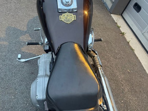 Harley-Davidson Softail