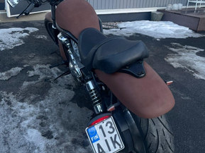 Harley-Davidson VRSC