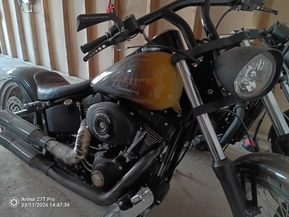 Harley-Davidson Softail