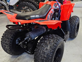 Can-Am DS