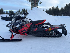 Ski-Doo Renegade