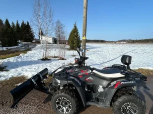 Linhai 300 EFI