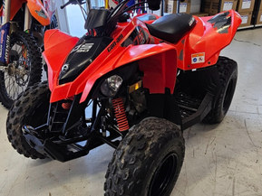 Can-Am DS