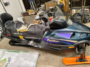 Arctic Cat Panther