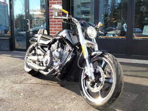 Harley-Davidson VRSC