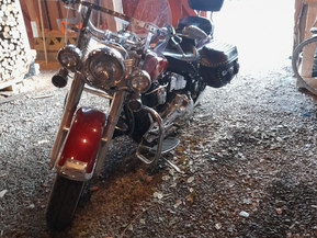 Harley-Davidson Softail