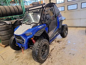 Polaris RZX