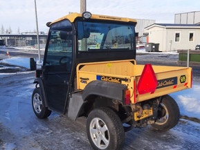 Cupcadet 4 x 4 UTV