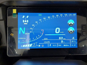 Trapper 750L T3b EPS Guardian