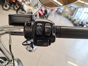 Harley-Davidson Softail