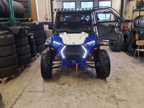 Polaris RZX