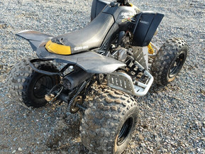 Can-Am DS
