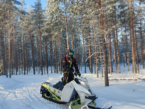 Ski-Doo Freeride
