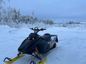 Ski-Doo Renegade