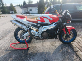 Aprilia Tuono