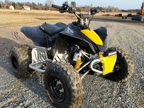 Can-Am DS