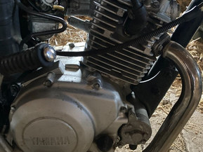 Yamaha YBR