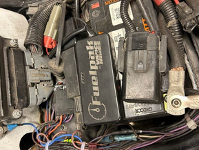 Harley-Davidson Softail