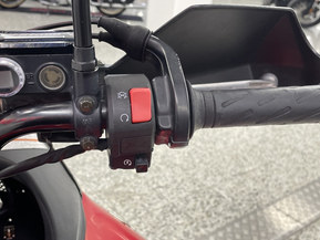 Suzuki DL