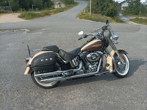 Harley-Davidson Softail